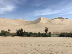 ワカチナ　砂漠のオアシス
