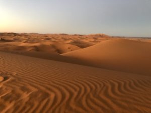サハラ砂漠/メルズーガ
