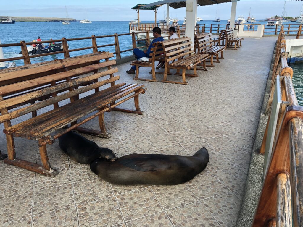 【地域別】ツアーと個人手配、おすすめはどっち？